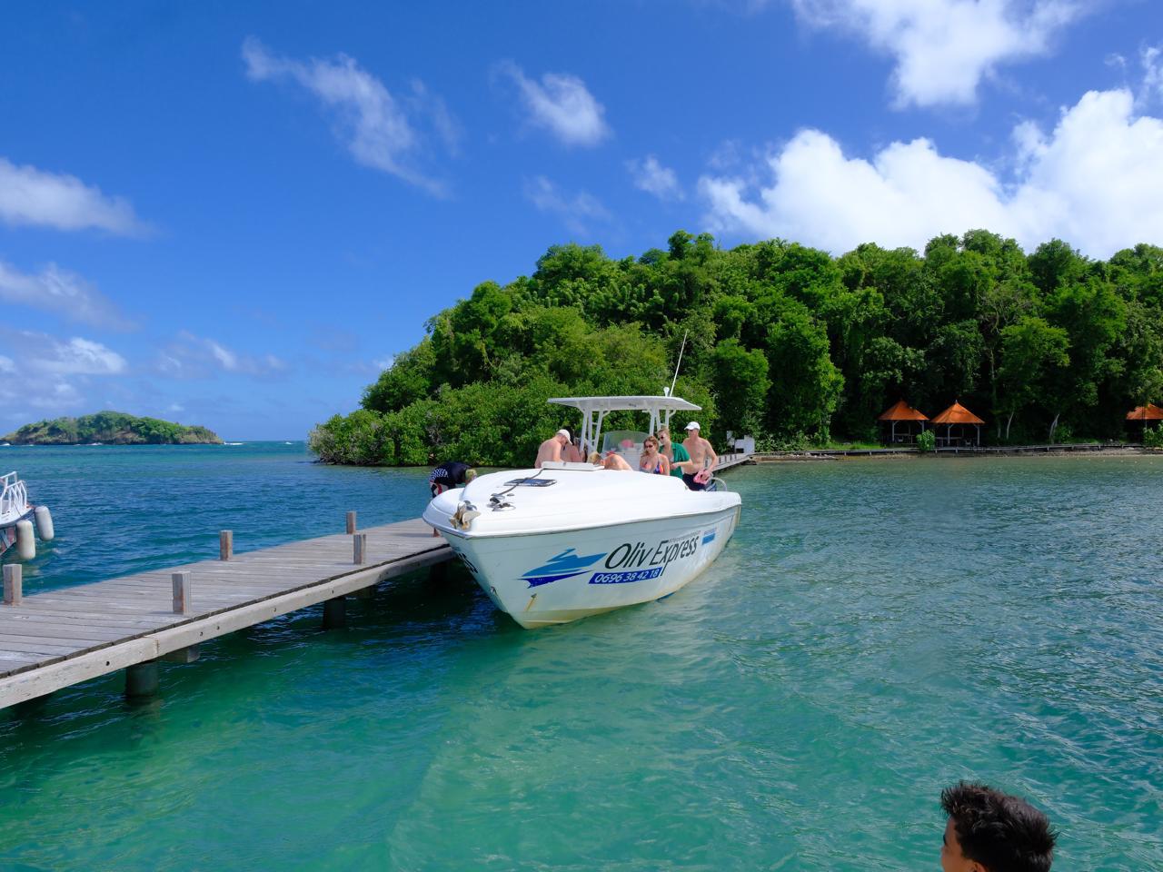 Escale au cœur de la mangrove